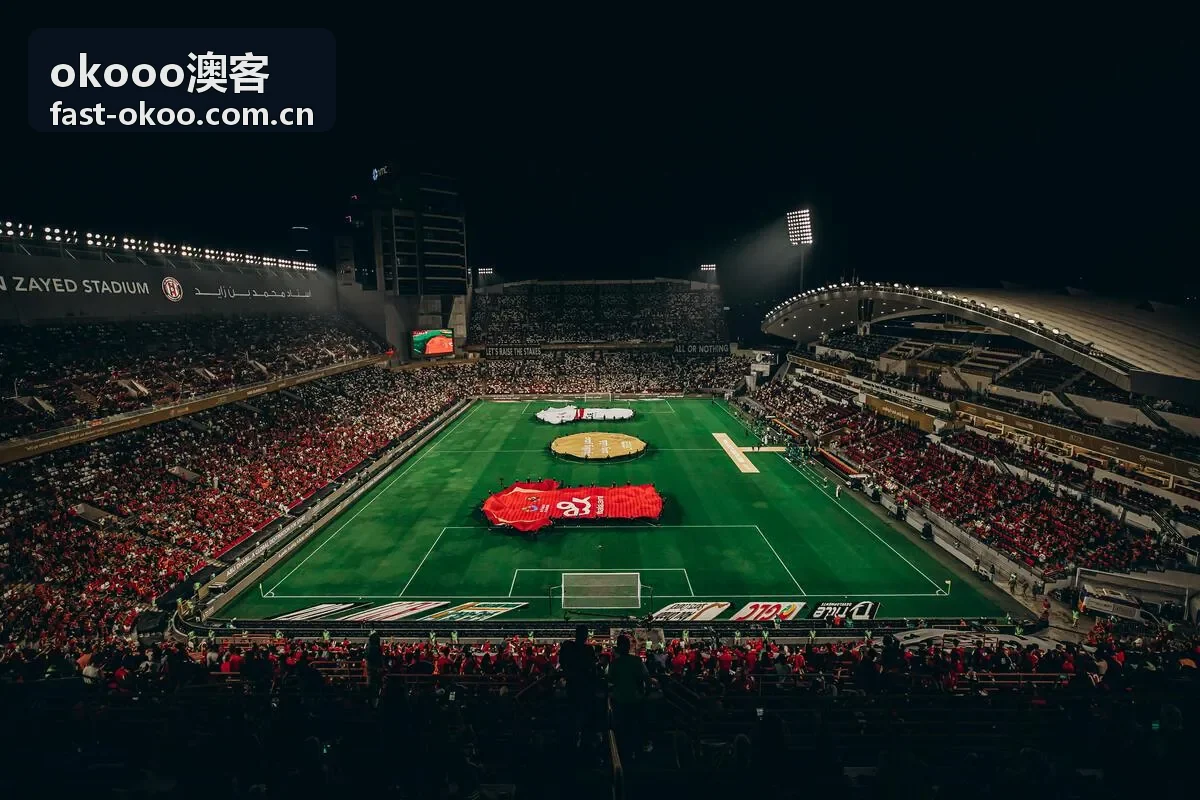 okooo澳客跨境电商供应链优化场景